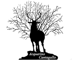 logo_acquerino