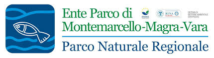 logo_m_marcello